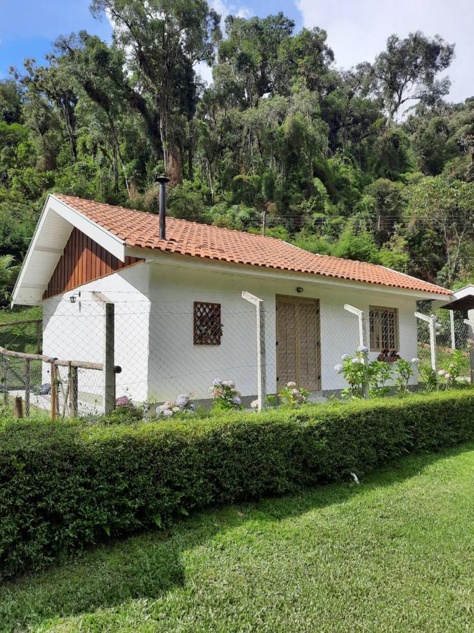 Alto Da Roça - Alto Boa Vista - *